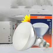 Aging test chamber bulb