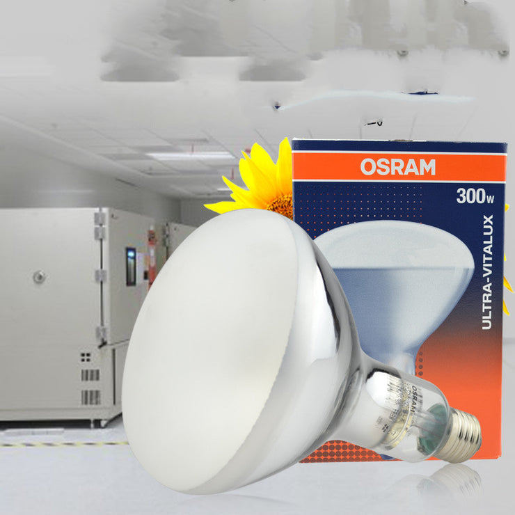 Aging test chamber bulb