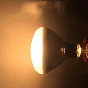 Aging test chamber bulb