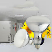 Aging test chamber bulb