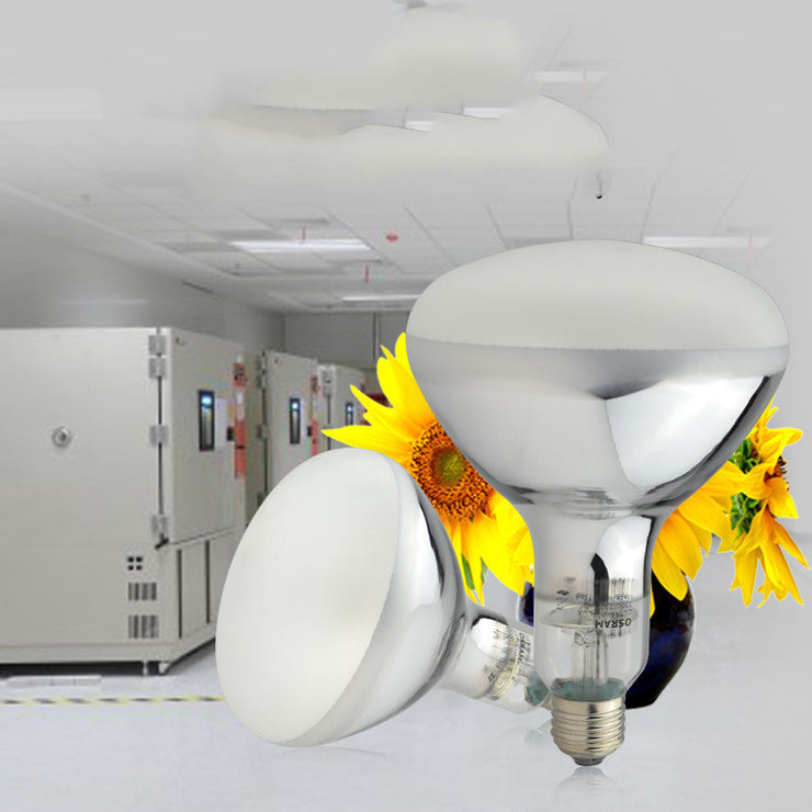 Aging test chamber bulb