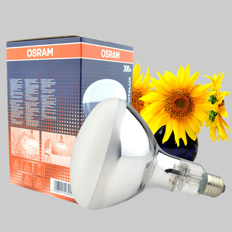 Aging test chamber bulb